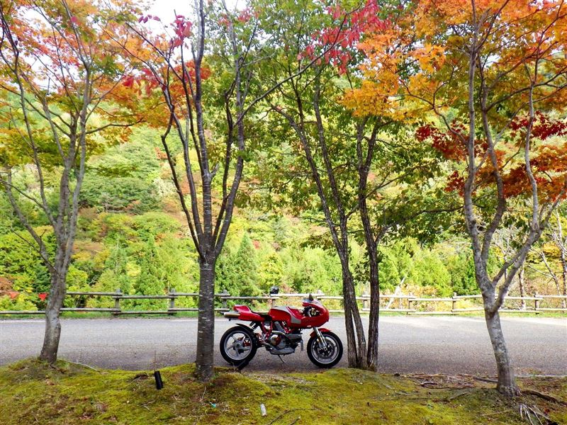 道楽とんぼさんのMH900e