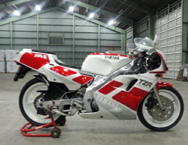 れよれよさんのTZR250