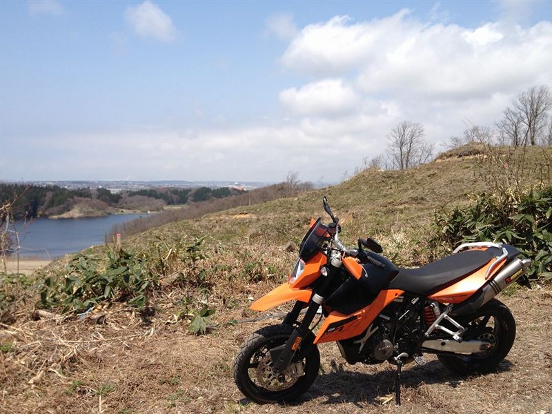 Sho5@ライオンさんの990SM