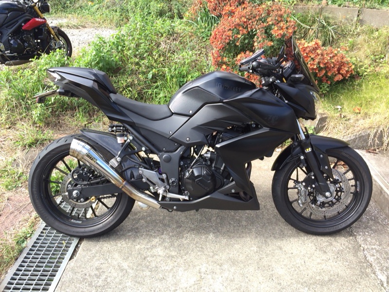 カウ(cowboybebop)さんのZ250