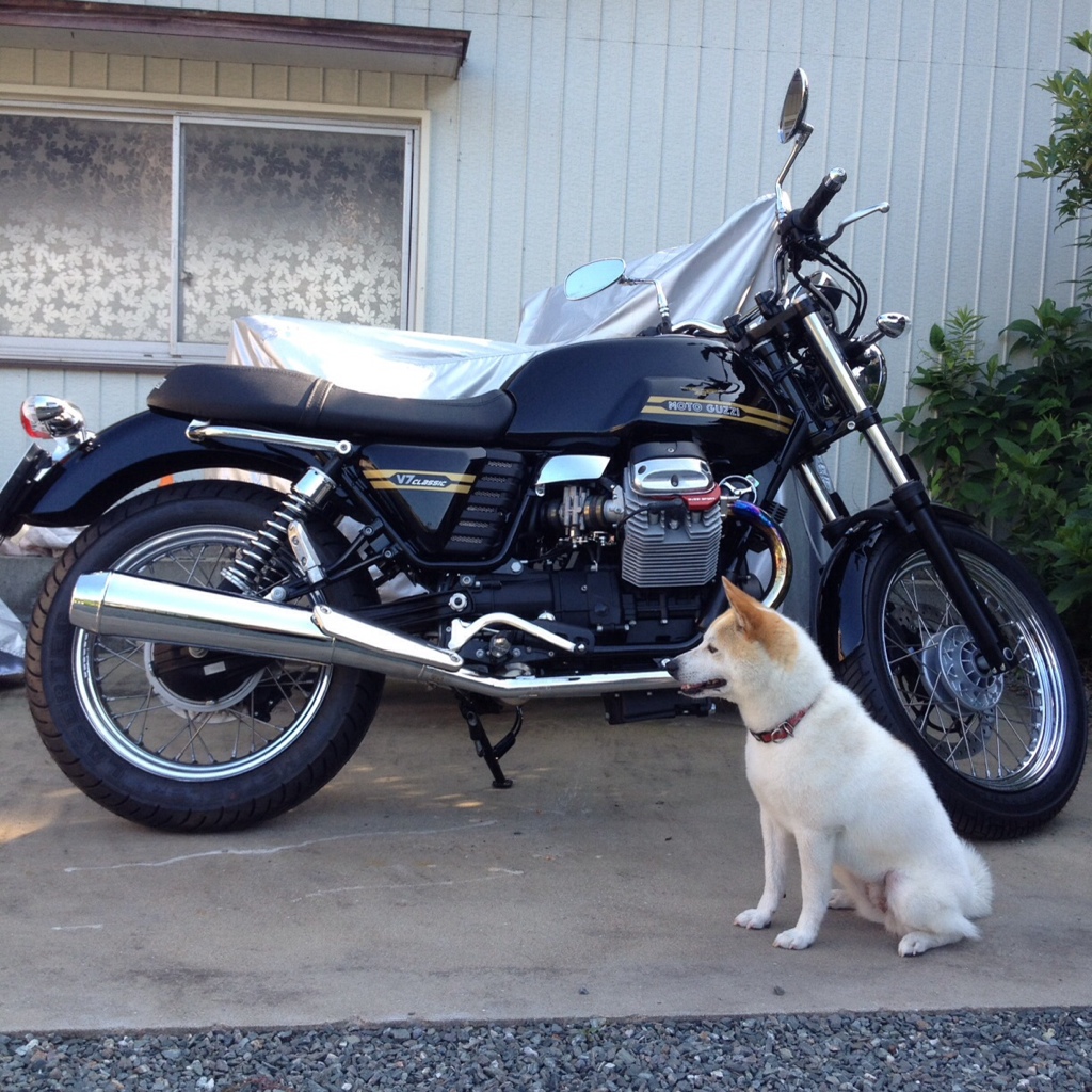 shinRRさんのV7 ストーン