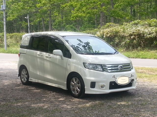 フリッパー♪さんのフリードスパイク