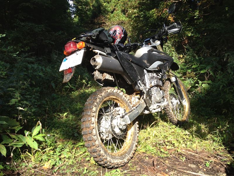 マタヲさんのXR250
