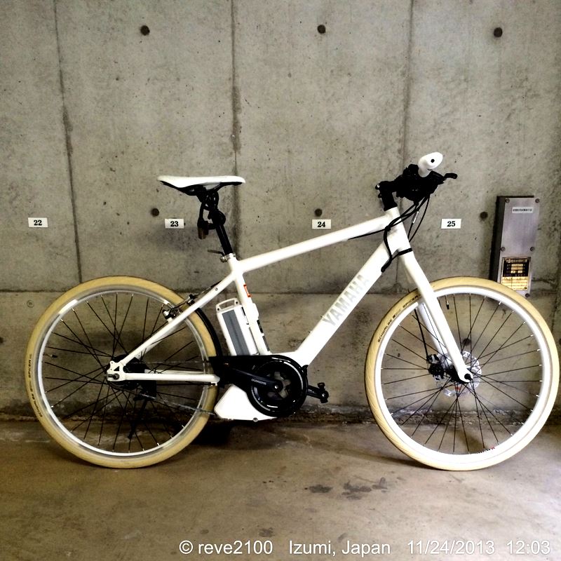 reve2100さんのPAS Brace-L