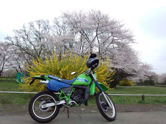 まさヤン310さんのKMX200