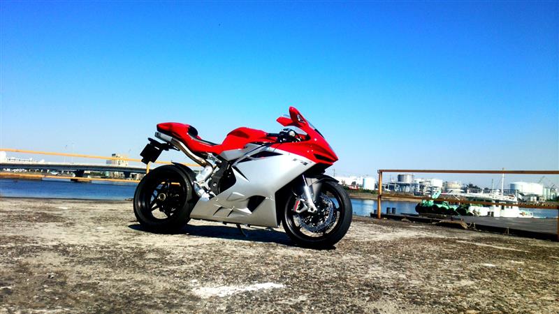 チーズカレーに海の幸300g辛さ普通さんのF4
