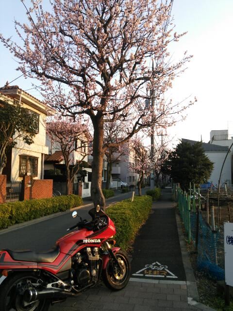 うかわさんのCBX750F
