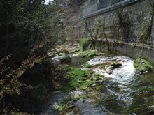むらてっくさんのPhotoGallery