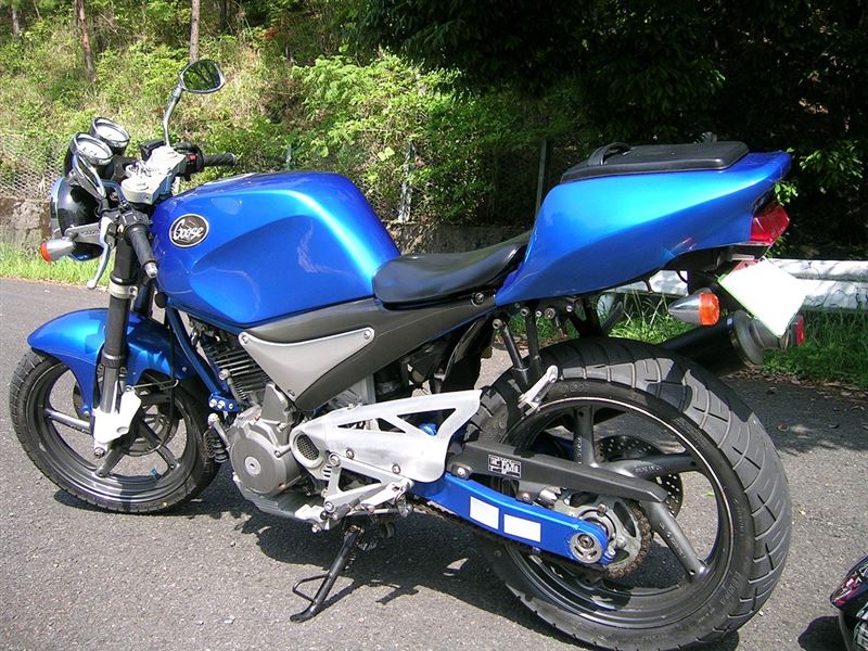 ロドロドさんのグース350