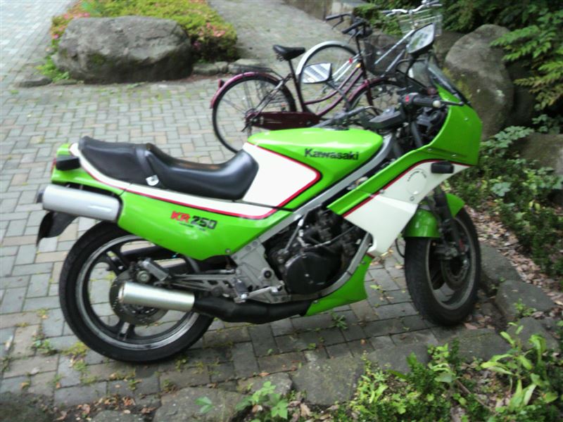 yukiko_rxさんのKR250A