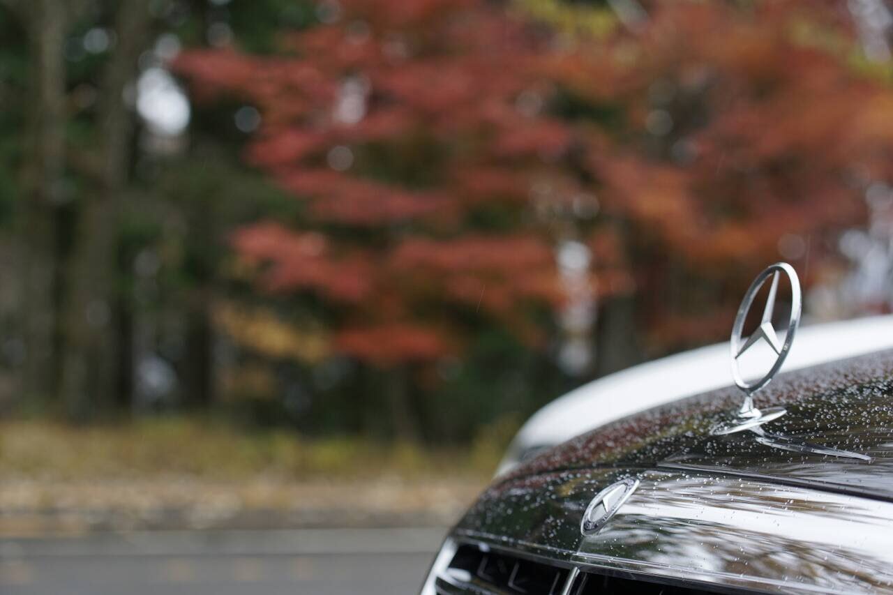 ぽけさんさんのSクラス