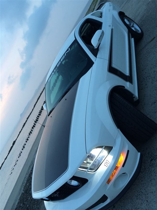 SALEEN H281さんのマスタング 302