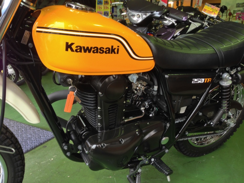 BROSさんの250TR
