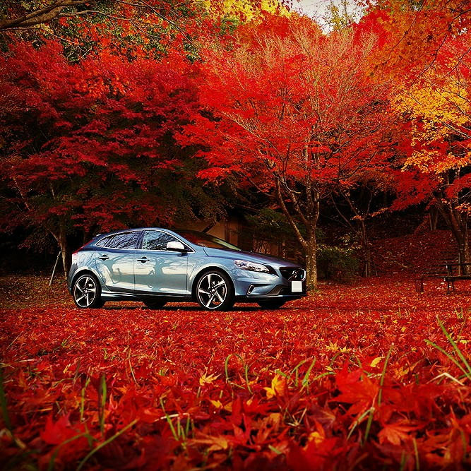 YukissさんのV40