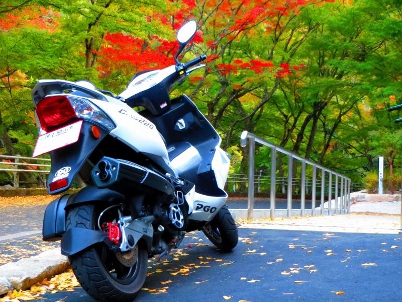 イタ3さんのG-MAX220