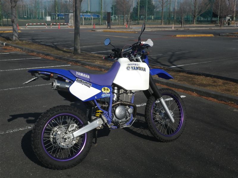黒ゴリさんのTT250R