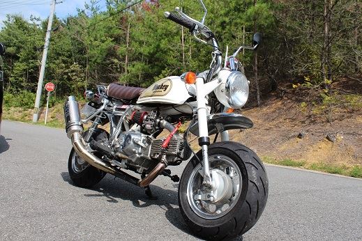 エ イ プさんのモンキー Z50J