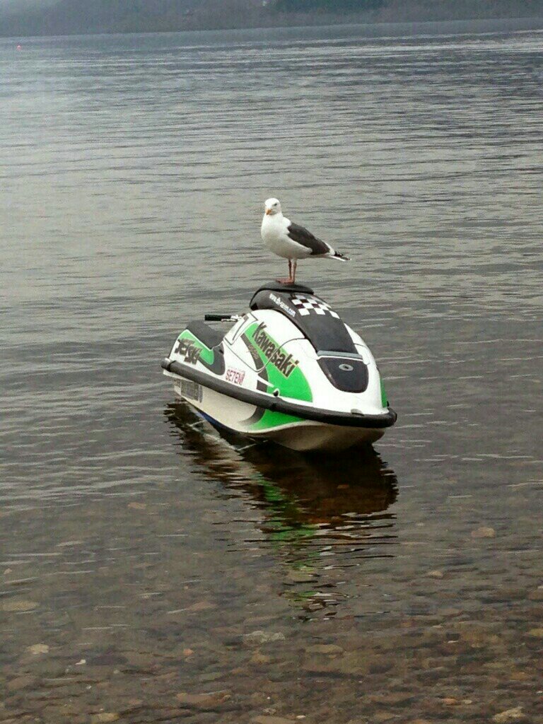 kenken7070さんのjetsky js750sxi