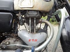 Jaeger64Tiさんのジュニア