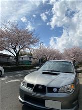 てつや66さんのIMPREZA_WRX