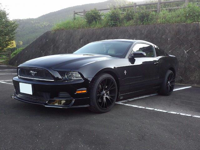 いろいろ フォード 車 エンブレム 馬 ただとめ壁 いろいろ フォード 車 エンブレム 馬 ただとめ壁
