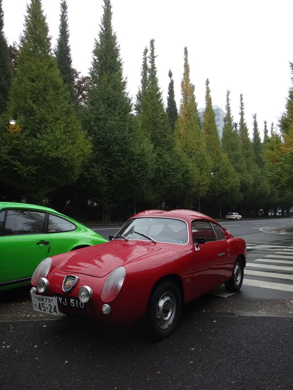 TShirakawaさんの750GT ZAGATO