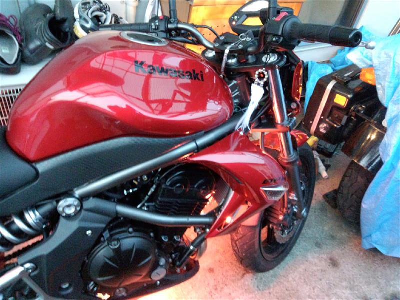 Tarz 31さんのER-4n