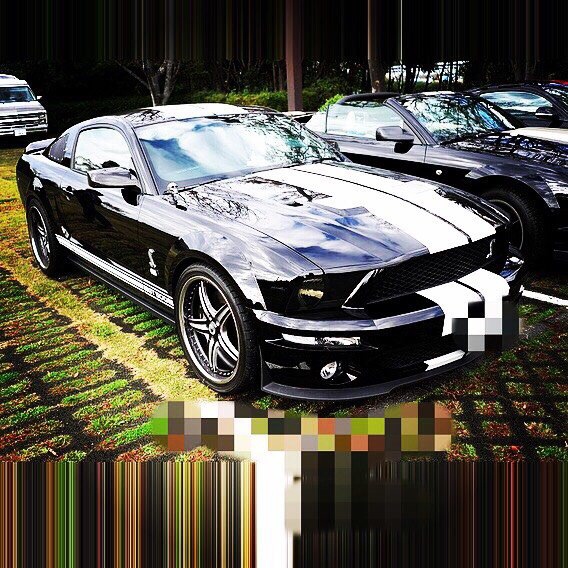 キンコブ娘さんのSHELBY GT500