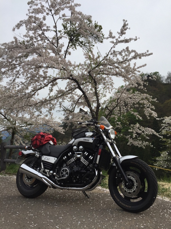 よともさんのVMX12