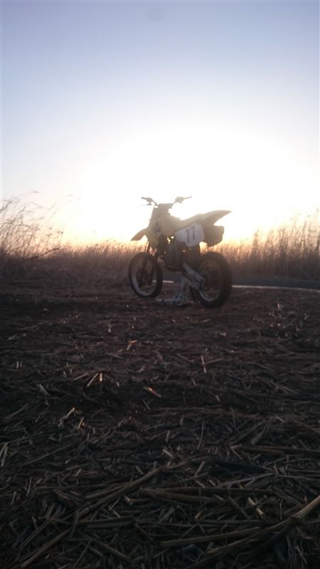 ジョージAさんのRM80