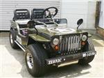 輸入車その他 ミニジープ