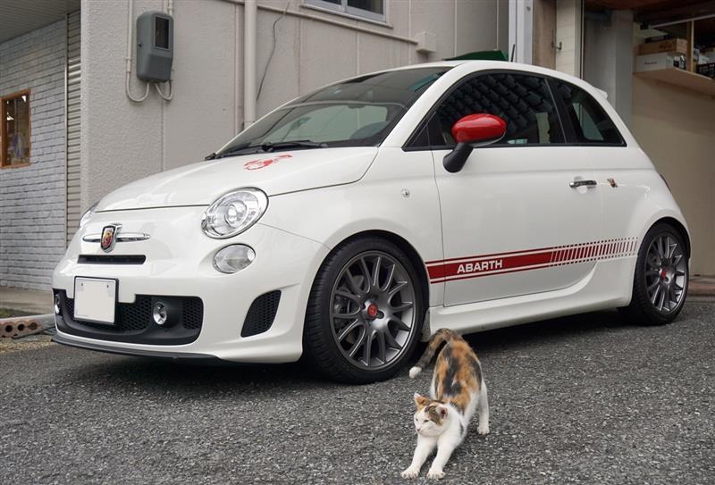 とむたまさんのアバルト・500 (ハッチバック)