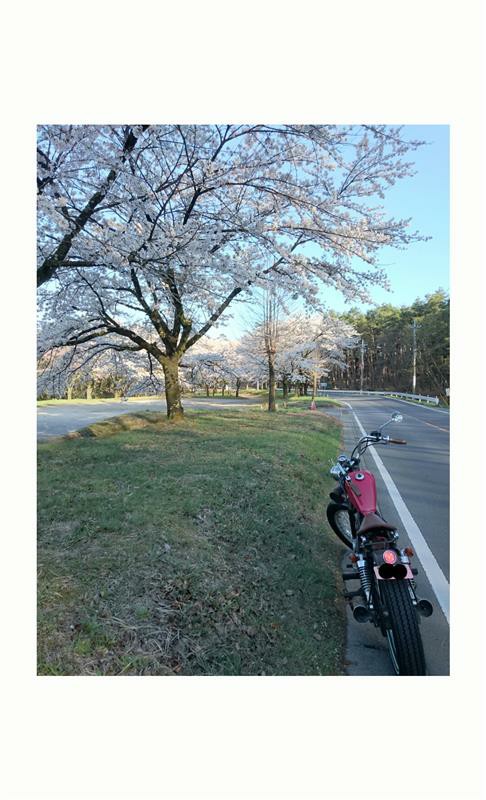 座席さんのCBX125 カスタム