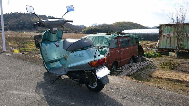 鈴木 襟夫さんのミント