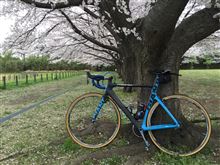 036@osamuさんのGIANT PROPEL ADVANCED SL ISP 左サイド画像