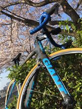 036@osamuさんのGIANT PROPEL ADVANCED SL ISP リア画像