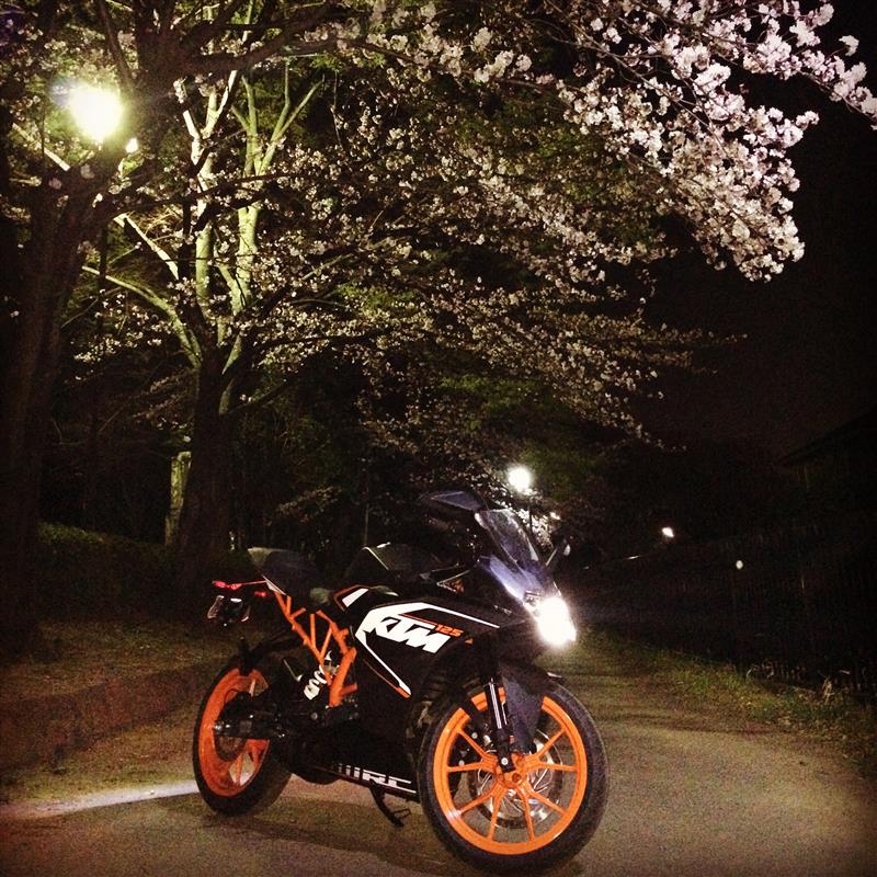 愛犬柴とヴェルさんのRC125