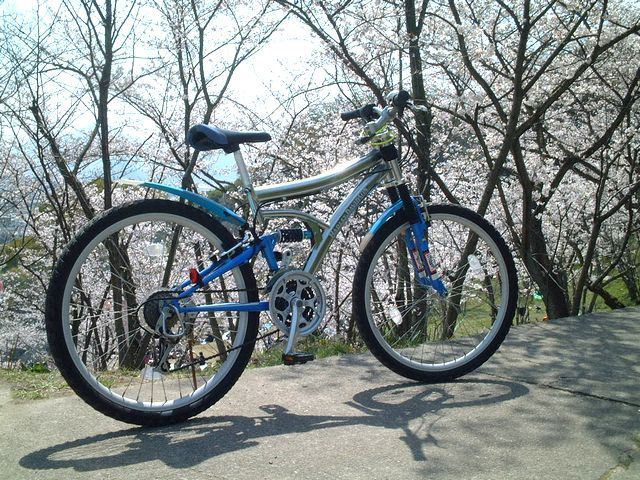 pimoさんのマウンテンバイク