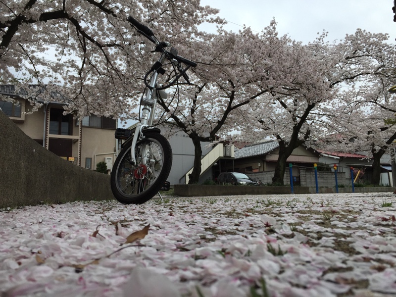 よともさんの折畳自転車