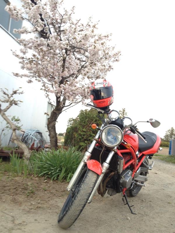 かっけx_xさんのBandit1250F