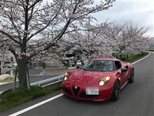 もりたさんの4C