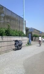 運がっぱさんのブロード 50