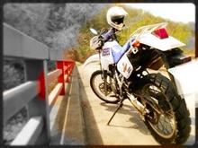 snow flakeさんのDJEBEL250