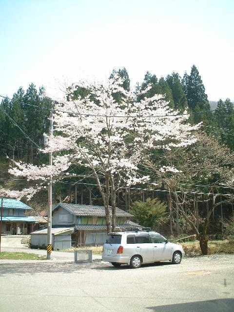 ダイハツ パイザー
