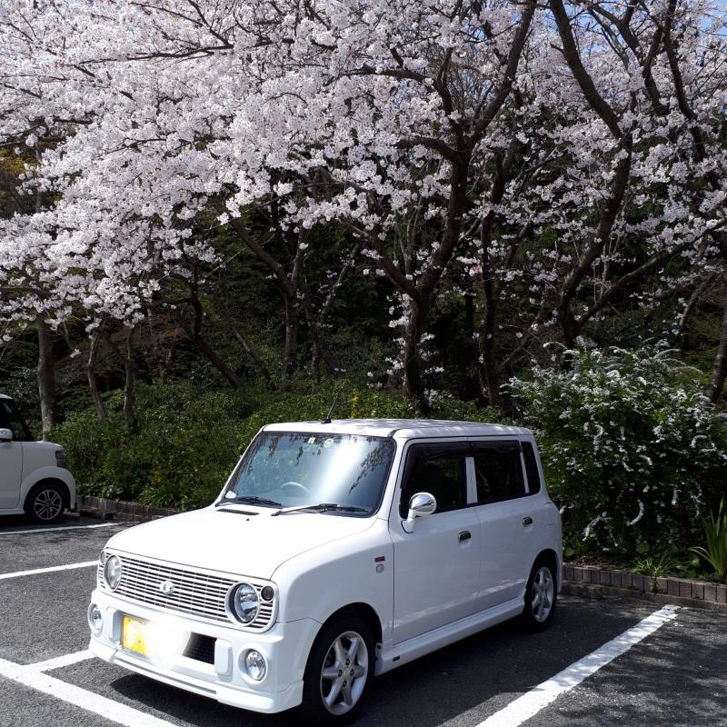 もう もうさんのアルトラパン
