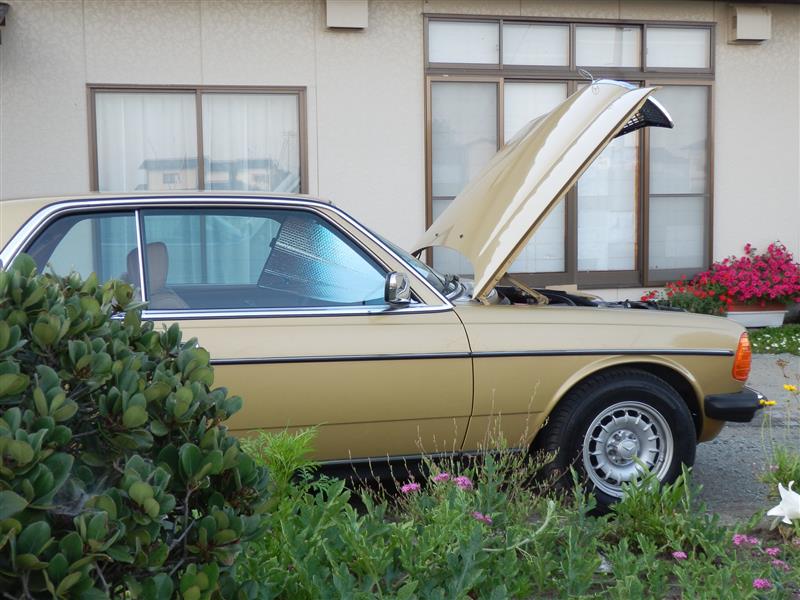 macG4さんのミディアムクラス クーペ