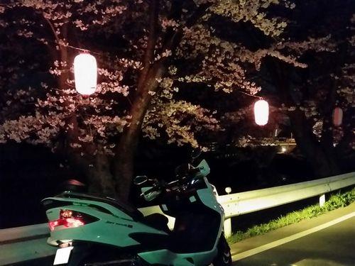 ノビすけさんのスカイウエイブ250 タイプM