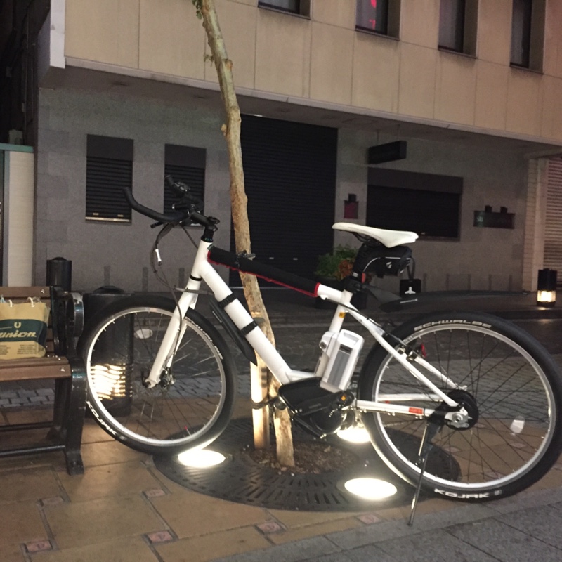 zebra6さんのPAS Brace XL 2014
