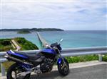 ホンダ ホーネット250
