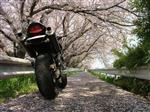 ホンダ ホーネット250